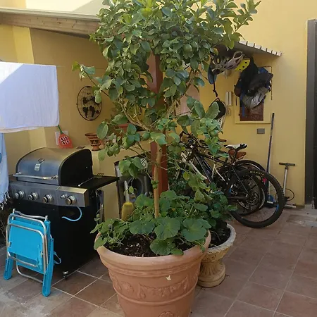 Simbilis Experience Aloe Куарту-Сант'Элена