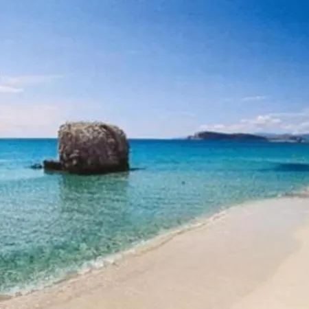 Simbilis Experience Aloe Отель типа 