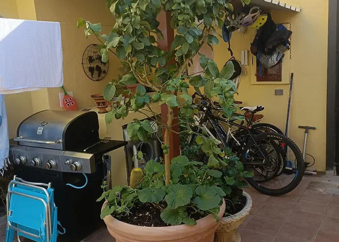 Simbilis Experience Aloe Quartu Sant'Elena