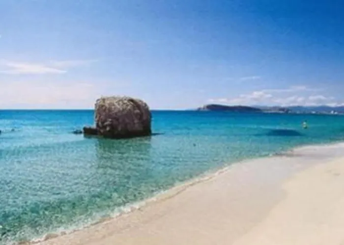 Simbilis Experience Aloe Bed & Breakfast 3*